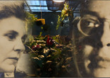 Welcome to This House, a Film on Elizabeth Bishop. 2015. USA. Directed by Barbara Hammer