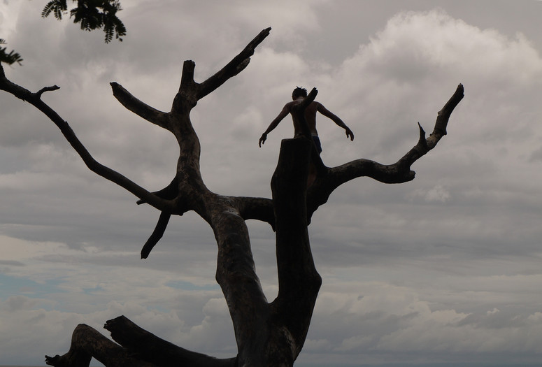 Cochihza. 2014. Belgium. Directed by Khristine Gillard. Courtesy of the filmmaker