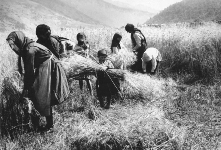 Buba. 1930. USSR. Directed by Noutsa Gogoberidze. Courtesy of the National Archives of Georgia