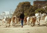 A Thousand Suns. 2013. France. Directed by Mati Diop