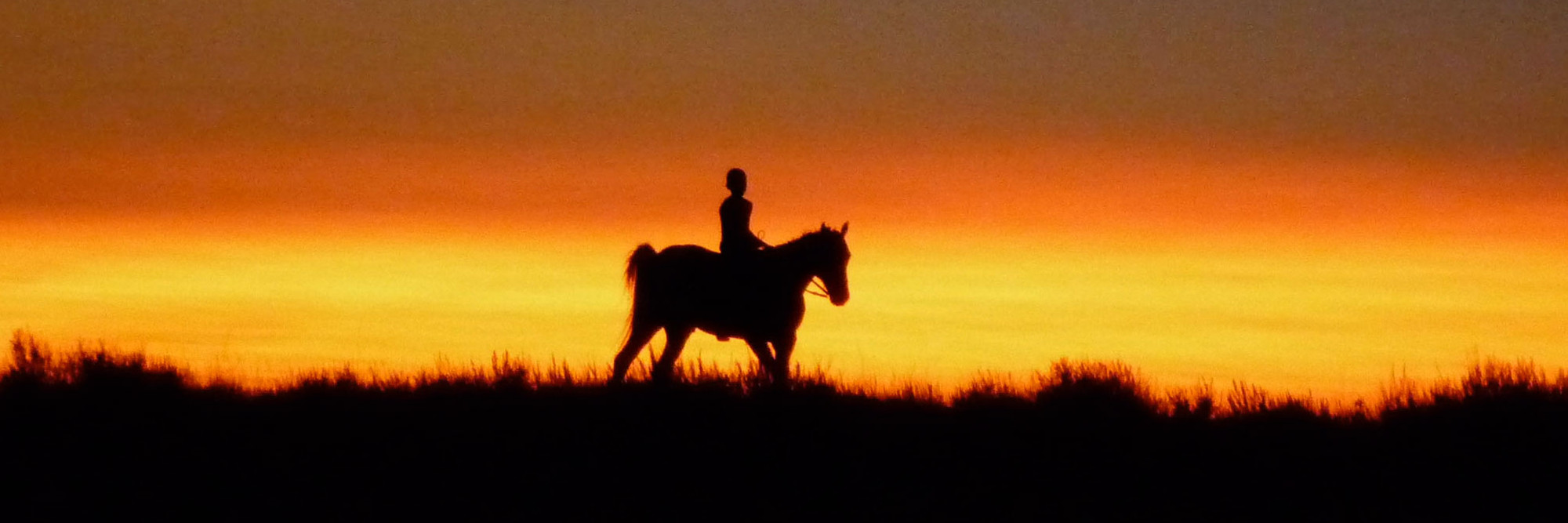 Reel Injun. 2009. Canada. Directed by Neil Diamond. &amp;copy 2010 Rezolution Pictures/National Film Board of Canada