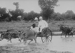 France Is Our Mother Country (La France est notre patrie). 2015. France/Cambodia. Directed by Rithy Panh. Courtesy of Catherine Dussart Productions