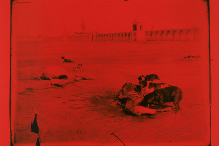 Runa Islam. Emergence. 2011. 35mm film (color, silent), 2:54 min. Commissioned by The Museum of Modern Art, New York, for The Elaine Dannheisser Projects Series. Courtesy the artist and White Cube, London