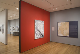 Installation view of Lost Vanguard: Soviet Modernist Architecture, 1922–32. The Museum of Modern Art. Photo: John Wronn