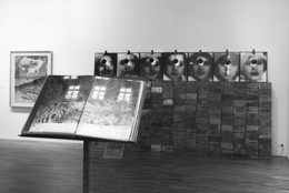 Installation view of More than One Photography: Works since 1980 from the Collection at The Museum of Modern Art, New York. Photo: Mali Olatunji