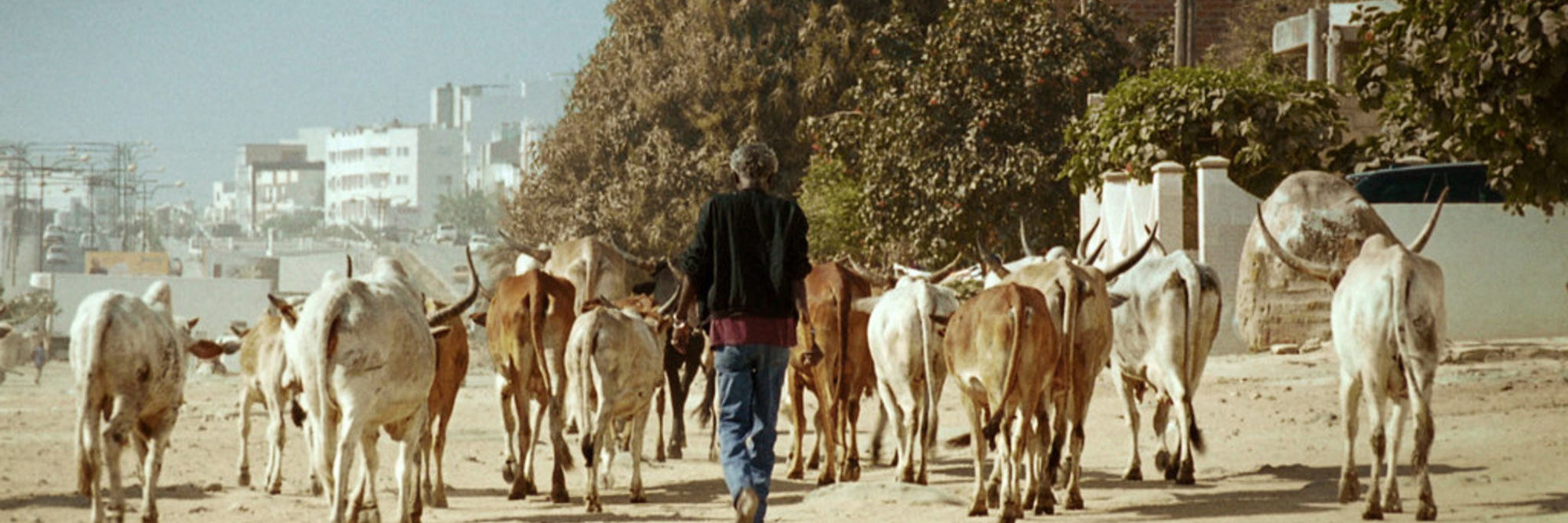 A Thousand Suns. 2013. France. Directed by Mati Diop