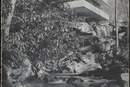 Cover of A new house by Frank Lloyd Wright on Bear Run, Pennsylvania (New York: The Museum of Modern Art, 1938)