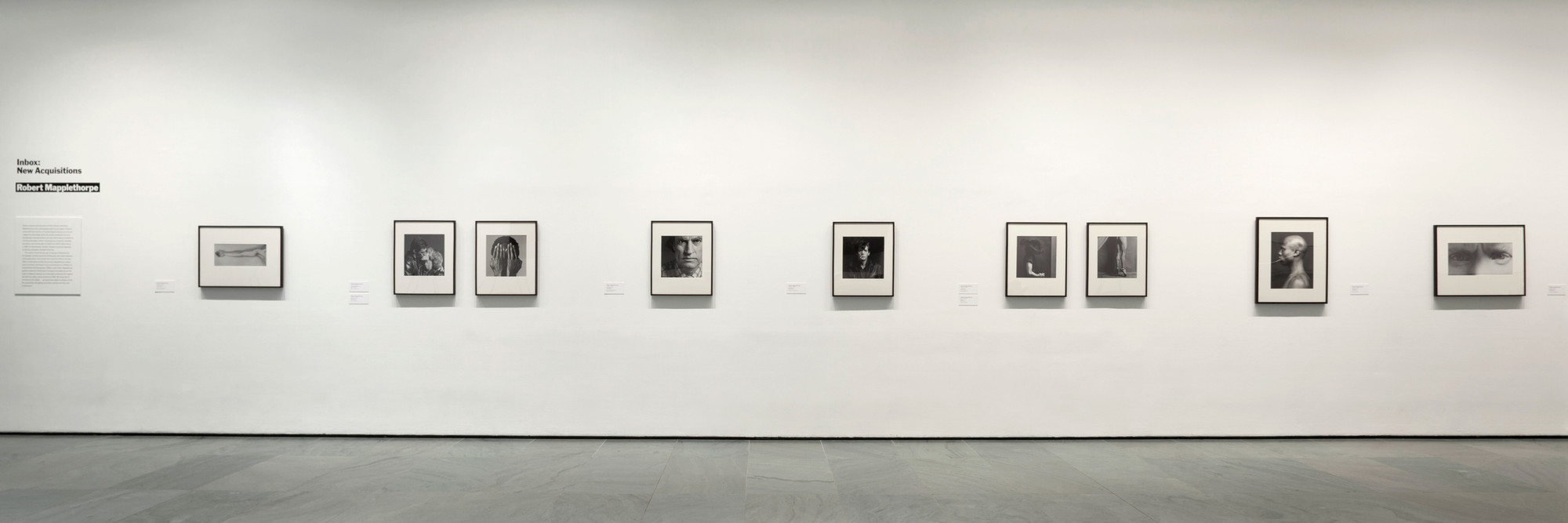 Installation view of Inbox: Robert Mapplethorpe at The Museum of Modern Art, New York. Photo: John Wronn