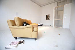 Installation view of Darren Bader: Images at MoMA PS1, January 29–May 14, 2012. Photo: Matthew Septimus