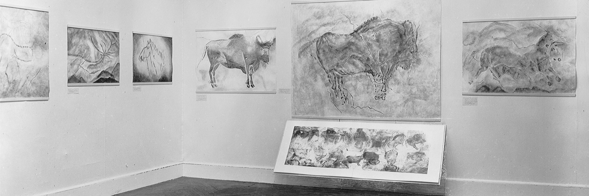Installation view of Prehistoric Rock Pictures in Europe and Africa at The Museum of Modern Art, New York. Photo: Soichi Sunami