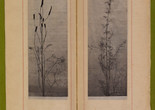 Dried grasses and seedpods. n.d. Photogravures on Japanese paper, page 7 1⁄2" x 2 3⁄4" (19.1 x 7 cm). Inset in William C. Gannett. The House Beautiful (River Forest, Ill.: Auvergne Press, 1896–98). Avery Architectural &amp; Fine Arts Library, Columbia University, New York