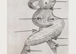 Louise Bourgeois. Sainte Sébastienne. 1992. Drypoint, sheet: 47 7/16 x 37 1/8" (120.5 x 94.3 cm). The Museum of Modern Art, New York. Gift of the artist. © 2017 The Easton Foundation/Licensed by VAGA, NY