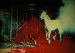 Berlin Horse. 1970. Great Britain. Directed by Malcolm le Grice. Courtesy of Malcolm LeGrice and LUX, London