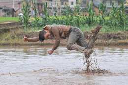Li Binyuan. Freedom Farming. 2014. Image courtesy the artist