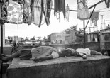 Roma. 2018. Mexico. Directed by Alfonso Cuarón. Courtesy of Netflix