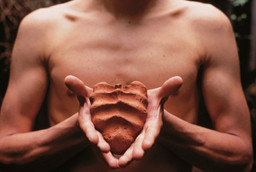 Gabriel Orozco.  My Hands Are My Heart.  GOEY14ps2