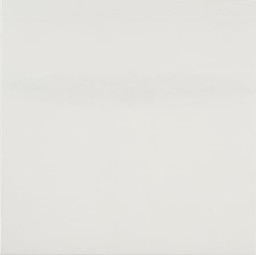 Shirazeh Houshiary. Presence. 2000