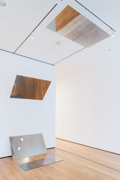 Black and white photograms mounted on metal
Overall 136 x 192 x 58" (345.4 x 487.7 x 147.3 cm), original installation room dimensions 206 x 192 x 216" (523.2 x 487.7 x 548.6 cm) 

 Acquired through the generosity of Agnes Gund, Mimi Haas, Michael Lynne, Jerry I. Speyer and Katherine G. Farley, and Committee on Painting and Sculpture Funds