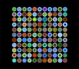 Becky Neiman
Original paintings by
Bert Berry, Robin Cooper, Jamie Frye, Yvonne Herbst, Bryn Imagire, Glenn Kim South Korean, Japeth Pieper American, Belinda van Valkenburg
Digital Collection (detail)