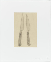 Chris Burden. Coyote Stories. 2005. Portfolio of ten etchings, five with aquatint, and 25 digital prints with chine collé plate: (see child records); sheet (each): 14 15/16 x 12 3/8" (38 x31.5 cm). Monroe Wheeler Fund
