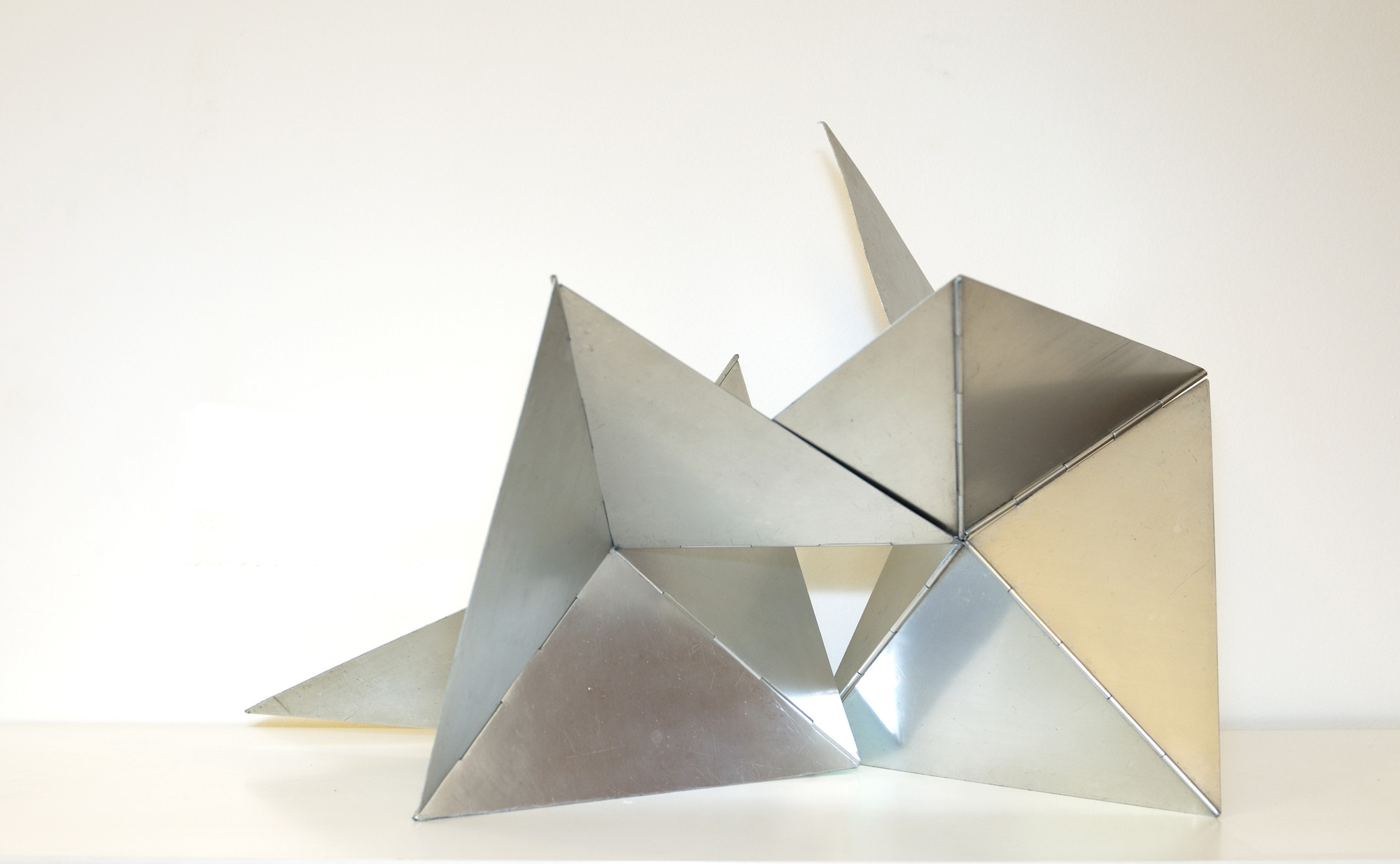 Lygia Clark, Bichos (as a group)