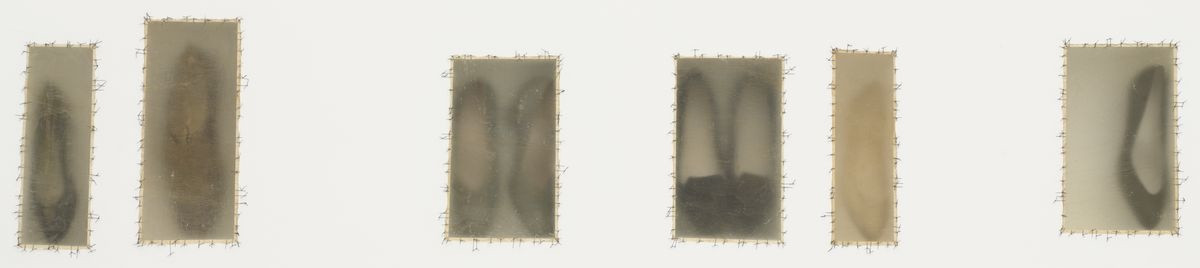 Doris Salcedo, Atrabilious, 1992-93. Wall installation with plywood, shoes, animal fiber, thread, and sheepskin, six niches, Overall 30 x 70 1/4 x 5 1/8" (76.2 x 178.4 x 13 cm). Gift of Marie-Josée and Henry R. Kravis. © 2012 Doris Salcedo .