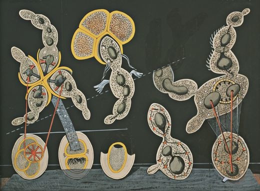 Max Ernst
(French, born Germany, 1891-1976)
The Gramineous Bicycle Garnished with Bells the Dappled Fire Damps and the Echinoderms Bending the Spine to Look for Caresses (la biciclette graminée garnie de grelots les grisous grivelés et les échinodermes courbants l'échine pour quêter des caresses)
c. 1921

