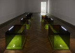 Anicka Yi. Shameplex. 2015. Plexiglass, nickel-plated straight pins, ultrasonic gel, and LED strips. 7 boxes, each box 24 × 48 × 24" (61 × 121.9 × 61 cm), overall dimensions variable. Fund for the Twenty-First Century