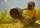Honeyland. 2019. Macedonia. Directed by Tamara Kotevska &amp; Ljubomir Stefanov. Courtesy NEON