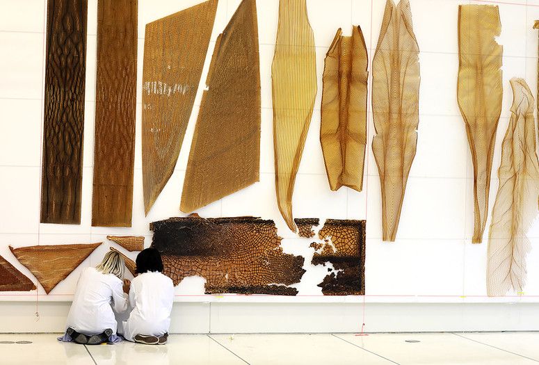 Neri Oxman and The Mediated Matter Group. Aguahoja I. 2018. 2018. The Aguahoja Artifacts Display: A catalog of material experiments spanning four years of research shows the range of aesthetics and behaviors we have been able to elicit in medium-to-large-scale prints via performative geometric toolpaths, generative design, bio-composite distributions, and variable fabrication parameters. Photo: The Mediated Matter Group. Courtesy The Mediated Matter Group