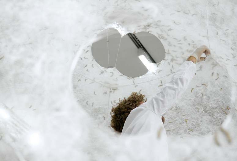 Neri Oxman and The Mediated Matter Group. Silk Pavilion I. 2013. Courtesy Neri Oxman and The Mediated Matter Group