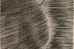 Gego (Gertrud Goldschmidt). Untitled. 1963. Ink on paper, 30 × 22" (76.2 × 55.9 cm). The Museum of Modern Art, New York. Committee on Drawings Funds. © 2021 Fundación Gego