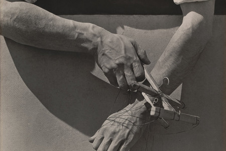 Tina Modotti. Hands of Marionette Player. 1929. Gelatin silver print, 7 1/2 × 9 1/2" (19 × 24.1 cm). Anonymous gift