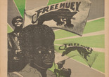 Emory Douglas. Back cover, The Black Panther Newspaper, vol. 3, no. 2 (Free Huey). 1969. Two-color ink on newsprint, 17 5/8 × 11 1/2" (44.8 × 29.2 cm). Publisher: Black Panther Party. The Museum of Modern Art, New York. Collection of Patrick and Nesta McQuaid and Akili Tommasino, gift of the Committee on Architecture and Design Funds. © Emory Douglas/Artists Rights Society (ARS), New York