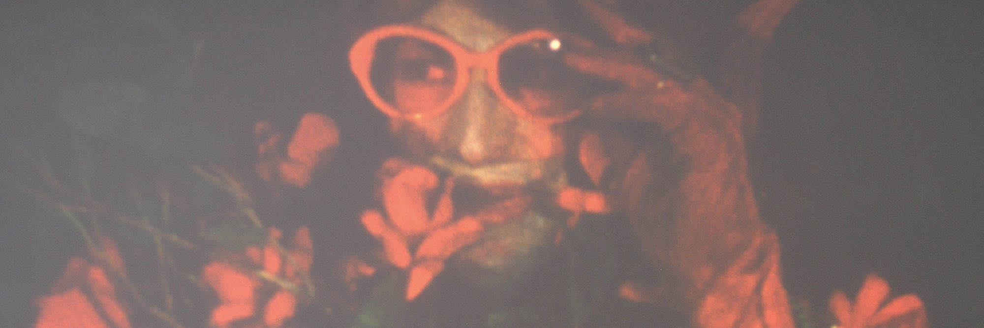 Jack Smith. Song for Rent. 1969. Digital transfer of 16mm film (color, sound), 4 min. Copyright Jack Smith Archive Courtesy of Gladstone Gallery, New York and Brussels