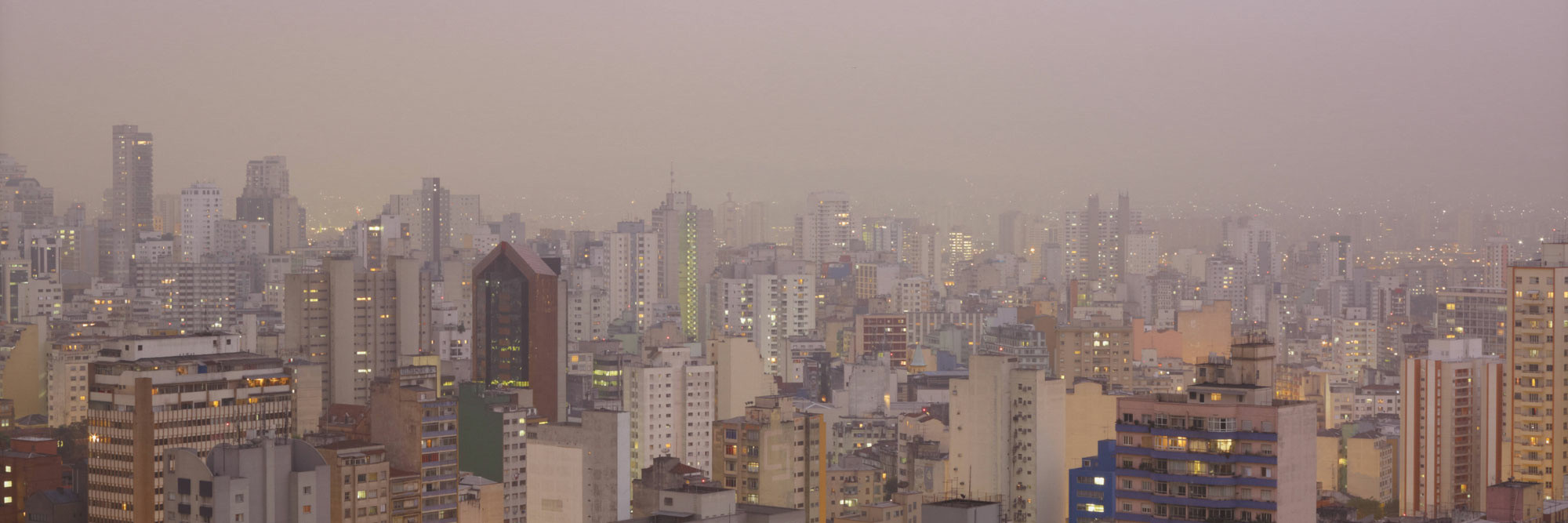 Suwon Lee. Purple Haze. 2011. Inkjet print, 36 1/4 × 47 1/4" (92 × 120 cm). Gift of Patricia Phelps de Cisneros through the Latin American and Caribbean Fund in honor of Clara Rodríguez-Cisneros. © 2022 Suwon Lee