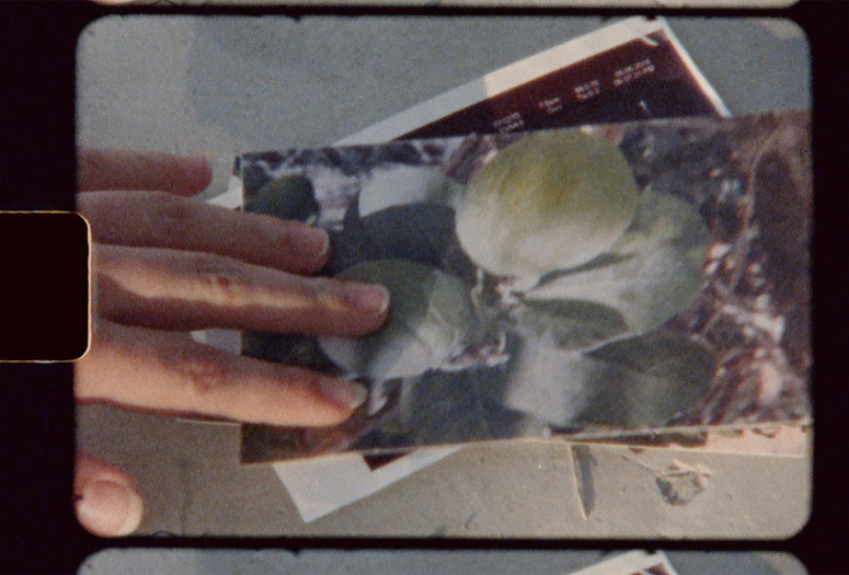 The Time That Separates Us. 2022. Canada/Jordan/Palestine. Directed by Parastoo Anoushahpour. Courtesy the artist