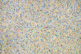 Simon Hantaï. Untitled [Suite "Blancs"]. 1973. Acrylic on canvas, 10' 1/4" x 15' 3 1/4" (305.3 x 466.5 cm). Acquired through the Carol Buttenwieser Loeb and Arnold A. Saltzman Funds