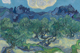 Vincent van Gogh. The Olive Trees. Saint Rémy, June-July 1889. Oil on canvas, 28 5/8 × 36" (72.6 × 91.4 cm). Mrs. John Hay Whitney Bequest