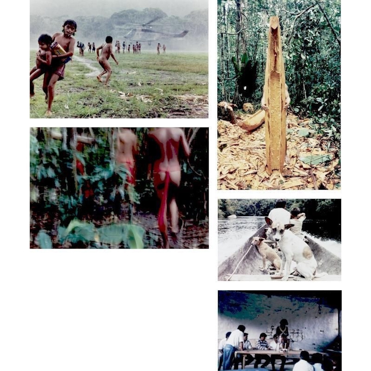 *Intercambios, Amazonas Venezuela*