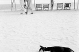 Akinbode Akinbiyi. Bar Beach, Victoria Island, Lagos from the series Sea Never Dry. 2003. Gelatin silver print, sheet: 23 5/8 × 23 5/8" (60 × 60 cm). Courtesy of the artist. © Akinbode Akinbiyi