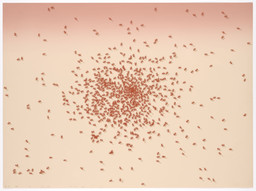 Swarm of Red Ants from Insects