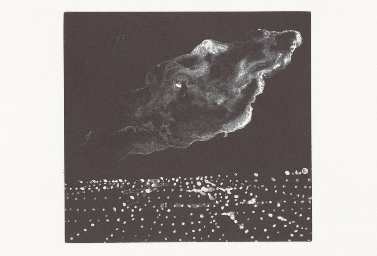 Peter Alexander. Untitled from LAX. 1990. One from a bound album of eight white-ground aquatints, plate (dimensions vary): 3 3/8 × 3 5/8"–6 7/8 × 7 3/8" (8.6 × 9.2 cm–17.5 × 18.8 cm); page: 13 × 11 7/16" (33 × 29 cm). Publisher: Jacob Samuel. Printer: Jacob Samuel. Edition: 16. The Museum of Modern Art, New York. Gift of Jacob and Yael Samuel in honor of Dr. Lee Sussman. © 2023 Peter Alexander. Used by permission