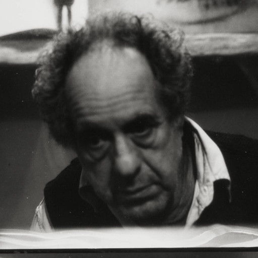 John Wronn. Untitled. 1995. Gelatin silver print, 19 5/8 × 26 1/16" (49.9 × 66.2 cm). © 2023 June Leaf and Robert Frank Foundation