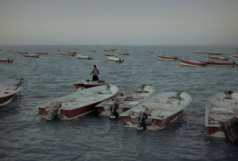 Meezan. 2023. Canada/Iran. Directed by Shahab Mihandoust. Courtesy the filmmaker