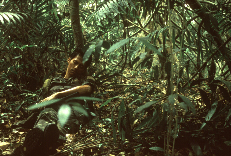 Tropical Malady. 2004. Thailand/France. Directed by Apichatpong Weerasethakul. Courtesy Strand Releasing
