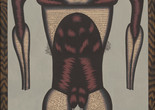 Christina Ramberg. Wired. 1974–75. Acrylic on board, 48 × 36" (121.9 × 91.4 cm). The Museum of Modern Art, New York. Gift of Agnes Gund Image description: The anthropomorphic form of a female body, painted to appear sewn from thread. The thin cylindrical arms, small wide breasts, intestine-like abdomen, and vulva all are a dense dark red color, similar to muscles. The wide chest, skinny legs, and forearms with the shape of hips and closed legs that cut off above the ankles are a pale sandy color with thin, black lines crossed like chain-mail. The links unravel around the mid-chest, the opening to the abdomen, and around the vulva, like pubic hair.