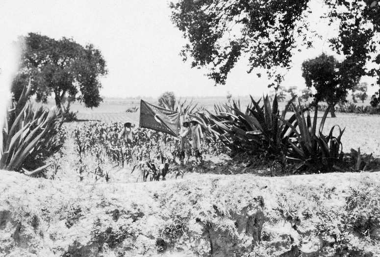 Tina Modotti. Agrarian Flag in a Field, Mexico. 1928