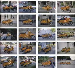 Gabriel Orozco. Until You Find Another Yellow Schwalbe. 1995