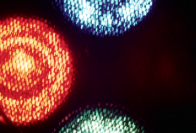 Barbara Hammer. Still from Contribution to Light. 1968. Super 8mm film transferred to high-definition video (color, silent), 3:42 min. Image courtesy Electronic Arts Intermix (EAI), New York